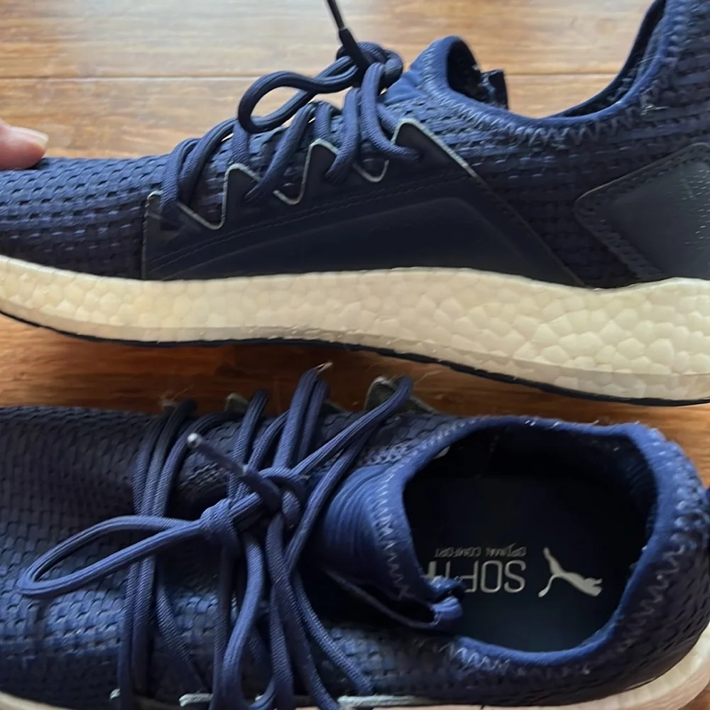 Pumas - Picture 8 of 10